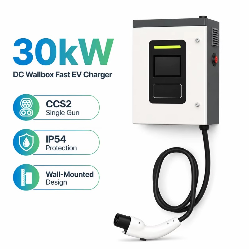 Customized 30kW CCS2 DC Fast E - Dc Fast Charger 30Kw Wallbox Commercial 评论和价格